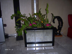 Designer Blumenkästen - Stilmoebel Designer Moebel - Bochum
