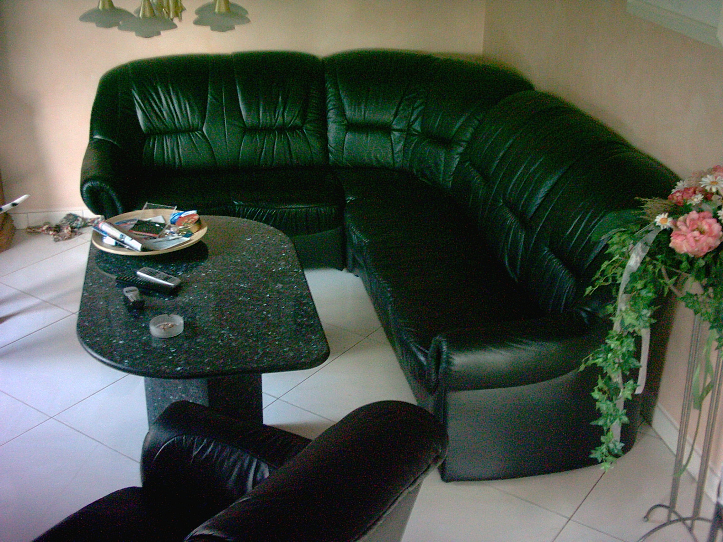 Ledergarnitur - Polster Sessel Couch - Rodenbek